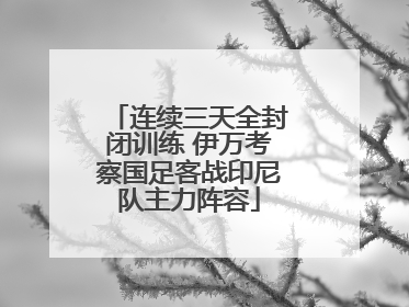 连续三天全封闭训练 伊万考察国足客战印尼队主力阵容