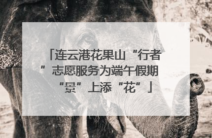 连云港花果山“行者”志愿服务为端午假期“景”上添“花”