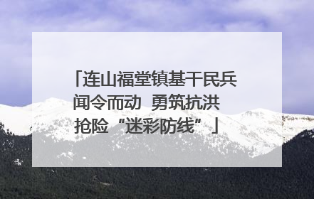 连山福堂镇基干民兵闻令而动  勇筑抗洪抢险“迷彩防线”