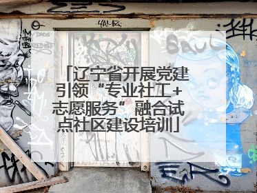 辽宁省开展党建引领“专业社工+志愿服务”融合试点社区建设培训