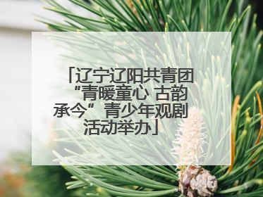 辽宁辽阳共青团“青暖童心 古韵承今”青少年观剧活动举办
