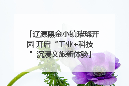辽源黑金小镇璀璨开园 开启“工业+科技”沉浸文旅新体验