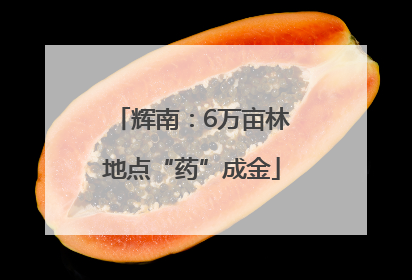 辉南：6万亩林地点“药”成金