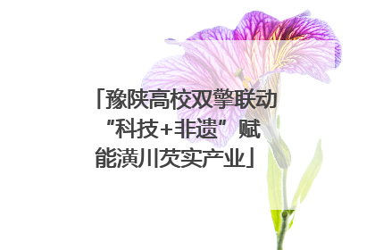 豫陕高校双擎联动 “科技+非遗”赋能潢川芡实产业