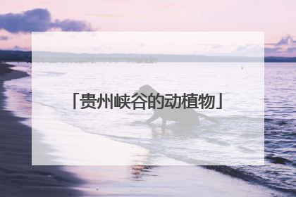 贵州峡谷的动植物