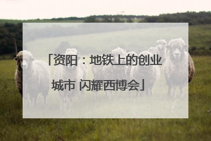 资阳：地铁上的创业城市 闪耀西博会