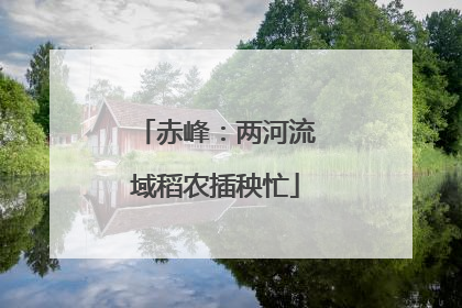 赤峰：两河流域稻农插秧忙
