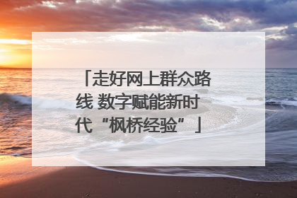 走好网上群众路线 数字赋能新时代“枫桥经验”