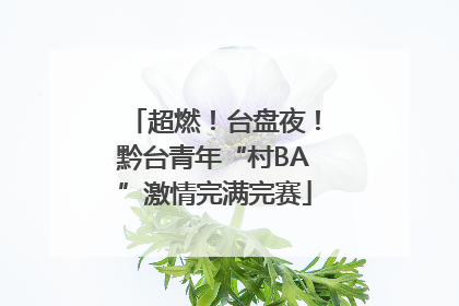 超燃！台盘夜！黔台青年“村BA”激情完满完赛