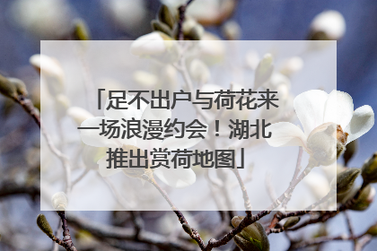 足不出户与荷花来一场浪漫约会！湖北推出赏荷地图