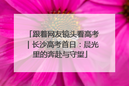 跟着网友镜头看高考｜长沙高考首日：晨光里的奔赴与守望