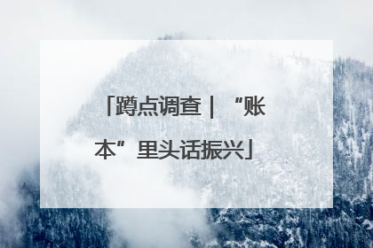 蹲点调查｜“账本”里头话振兴