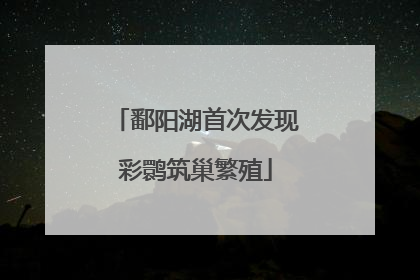 鄱阳湖首次发现彩鹮筑巢繁殖