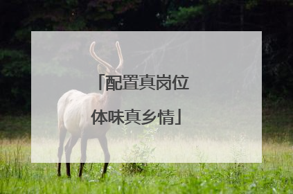 配置真岗位 体味真乡情