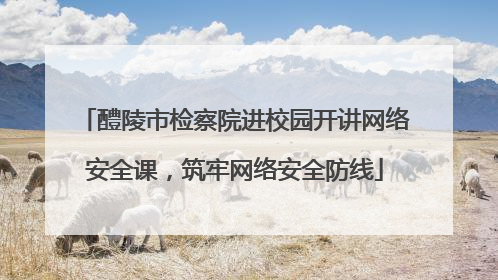 醴陵市检察院进校园开讲网络安全课，筑牢网络安全防线