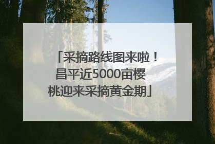 采摘路线图来啦！昌平近5000亩樱桃迎来采摘黄金期
