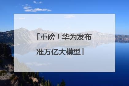 重磅！华为发布准万亿大模型