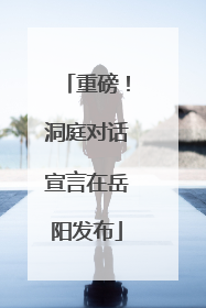 重磅！洞庭对话宣言在岳阳发布