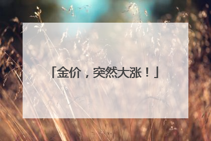 金价，突然大涨！