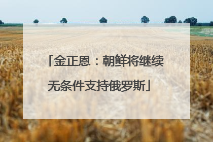 金正恩：朝鲜将继续无条件支持俄罗斯