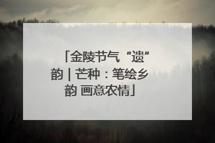 金陵节气“遗”韵｜芒种：笔绘乡韵 画意农情