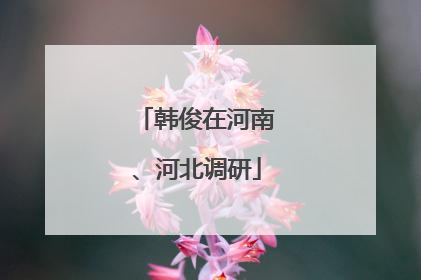 韩俊在河南、河北调研