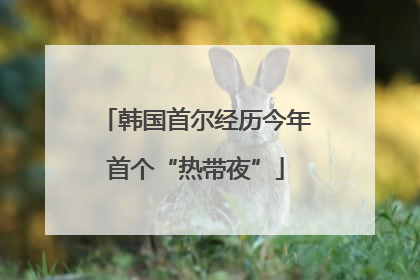 韩国首尔经历今年首个“热带夜”