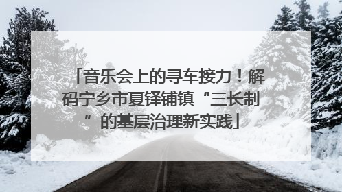 音乐会上的寻车接力！解码宁乡市夏铎铺镇“三长制”的基层治理新实践