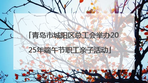 青岛市城阳区总工会举办2025年端午节职工亲子活动