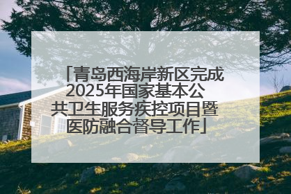 青岛西海岸新区完成2025年国家基本公共卫生服务疾控项目暨医防融合督导工作