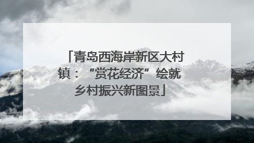 青岛西海岸新区大村镇：“赏花经济”绘就乡村振兴新图景