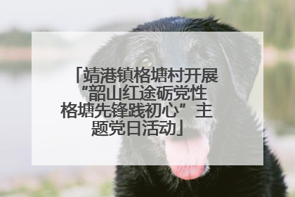 靖港镇格塘村开展“韶山红途砺党性 格塘先锋践初心”主题党日活动