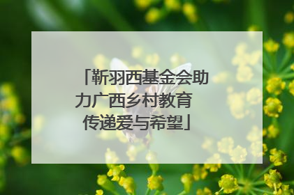 靳羽西基金会助力广西乡村教育 传递爱与希望