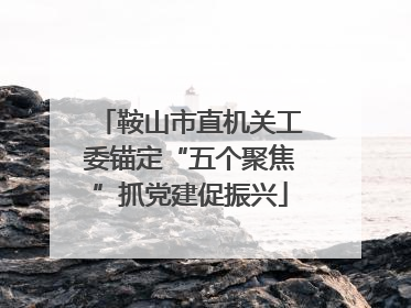 鞍山市直机关工委锚定“五个聚焦”抓党建促振兴