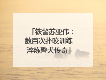 铁警苏亚伟：数百次扑咬训练淬炼警犬传奇