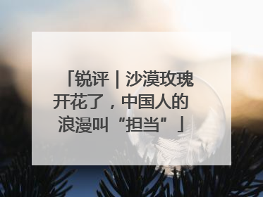 锐评｜沙漠玫瑰开花了，中国人的浪漫叫“担当”