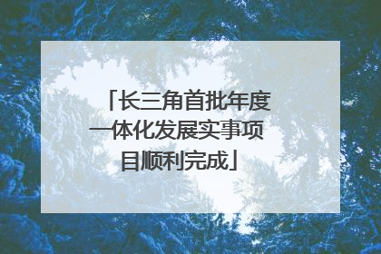 长三角首批年度一体化发展实事项目顺利完成