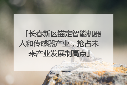 长春新区锚定智能机器人和传感器产业，抢占未来产业发展制高点