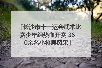 长沙市十一运会武术比赛少年组热血开赛 360余名小将展风采