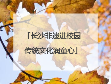 长沙非遗进校园 传统文化润童心