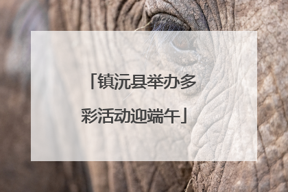 镇沅县举办多彩活动迎端午