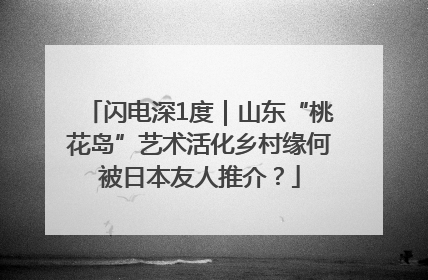 闪电深1度｜山东“桃花岛”艺术活化乡村缘何被日本友人推介？