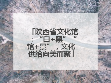 陕西省文化馆：“白+黑”“馆+景”，文化供给向美而聚