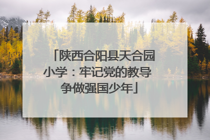 陕西合阳县天合园小学：牢记党的教导 争做强国少年