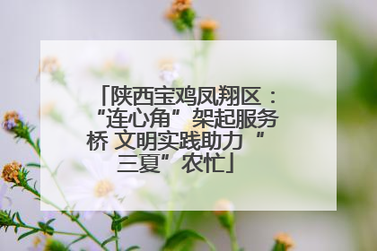 陕西宝鸡凤翔区：“连心角”架起服务桥 文明实践助力“三夏”农忙