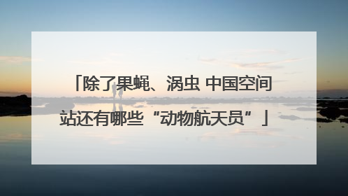 除了果蝇、涡虫 中国空间站还有哪些“动物航天员”