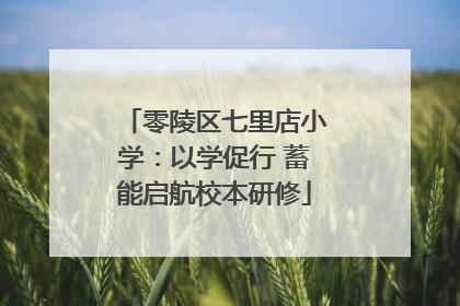 零陵区七里店小学：以学促行 蓄能启航校本研修