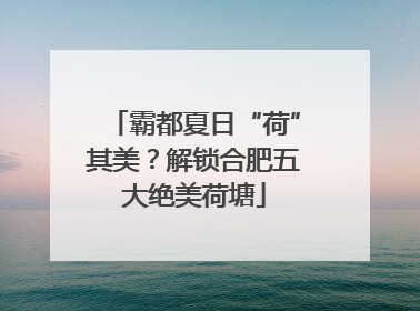霸都夏日“荷”其美？解锁合肥五大绝美荷塘