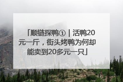 顺链探鸭①｜活鸭20元一斤，街头烤鸭为何却能卖到20多元一只