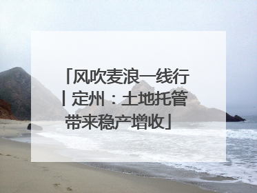 风吹麦浪一线行丨定州：土地托管带来稳产增收